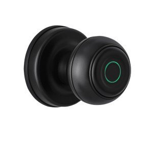 New Arrival Smart Lock Intelligent Round Lock Fingerprint Password Card Lock With TUYA Bluetooth